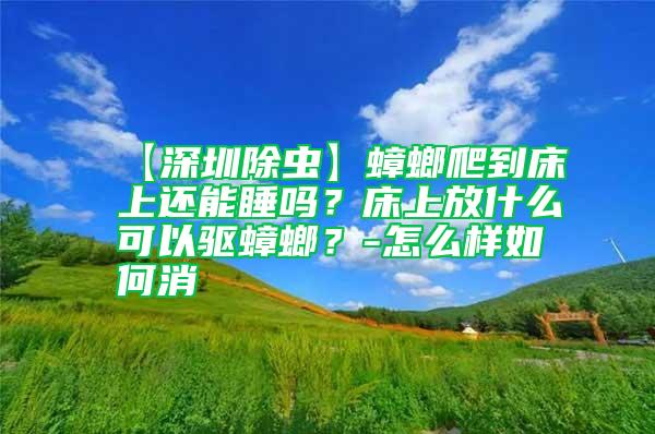【深圳除蟲】蟑螂爬到床上還能睡嗎？床上放什么可以驅蟑螂？-怎么樣如何消