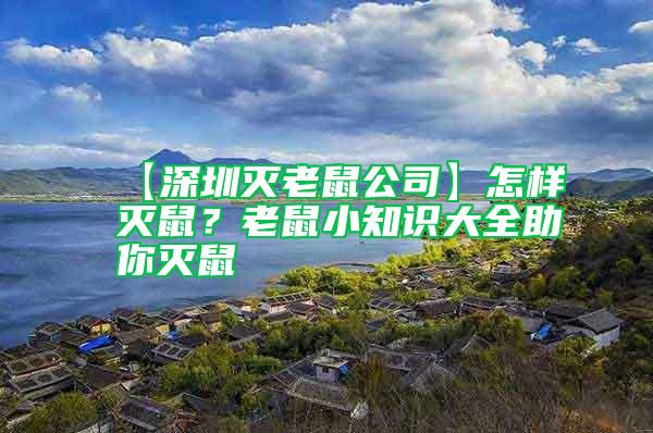【深圳滅老鼠公司】怎樣滅鼠？老鼠小知識大全助你滅鼠
