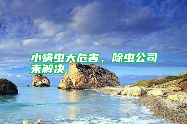 小螨蟲(chóng)大危害，除蟲(chóng)公司來(lái)解決