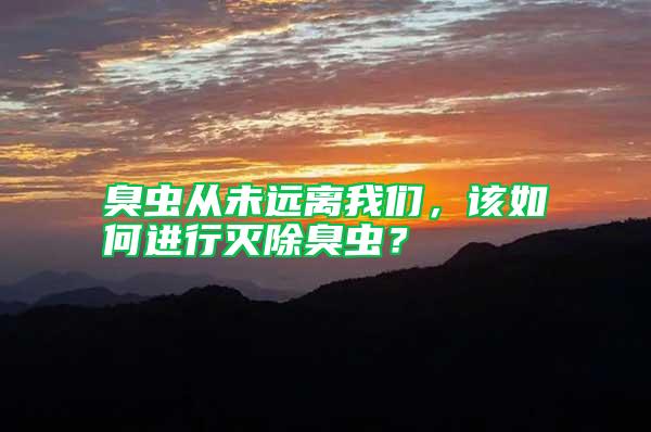 臭蟲從未遠離我們，該如何進行滅除臭蟲？