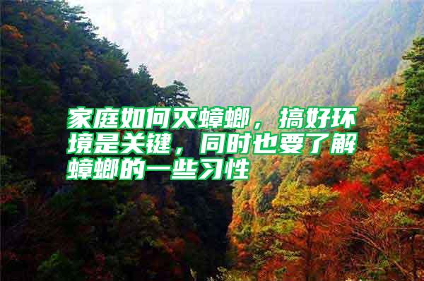 家庭如何滅蟑螂，搞好環境是關鍵，同時也要了解蟑螂的一些習性