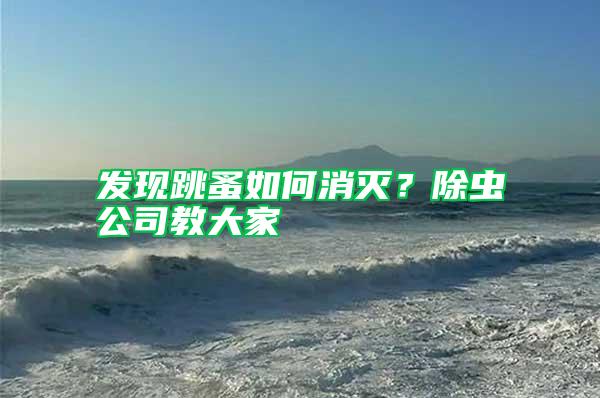 發現跳蚤如何消滅？除蟲公司教大家