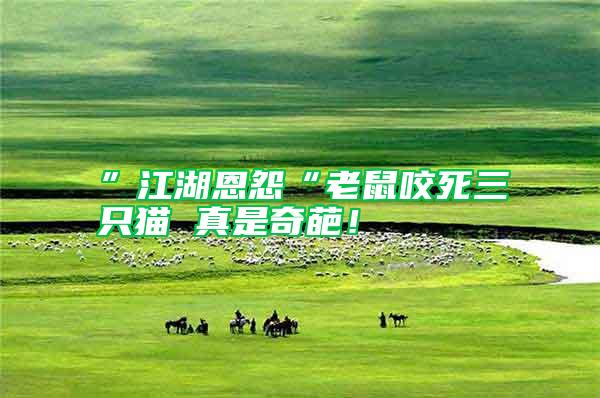 ”江湖恩怨“老鼠咬死三只貓 真是奇葩！