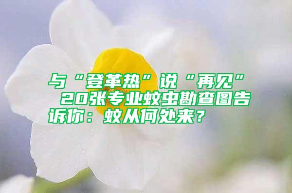 與“登革熱”說“再見” 20張專業(yè)蚊蟲勘查圖告訴你：蚊從何處來？