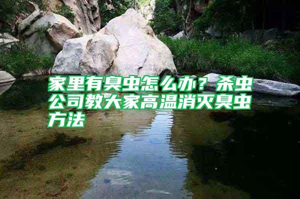 家里有臭蟲怎么辦？殺蟲公司教大家高溫消滅臭蟲方法
