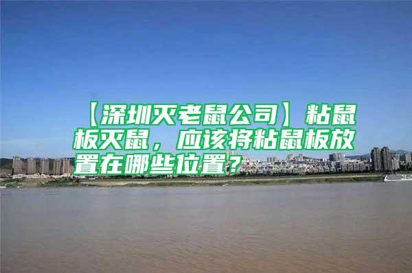 【深圳滅老鼠公司】粘鼠板滅鼠,應該將粘鼠板放置在哪些位置?