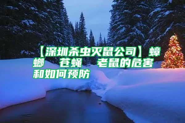 【深圳殺蟲滅鼠公司】蟑螂 蒼蠅 老鼠的危害和如何預防