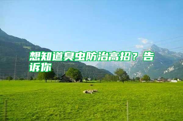 想知道臭蟲(chóng)防治高招？告訴你