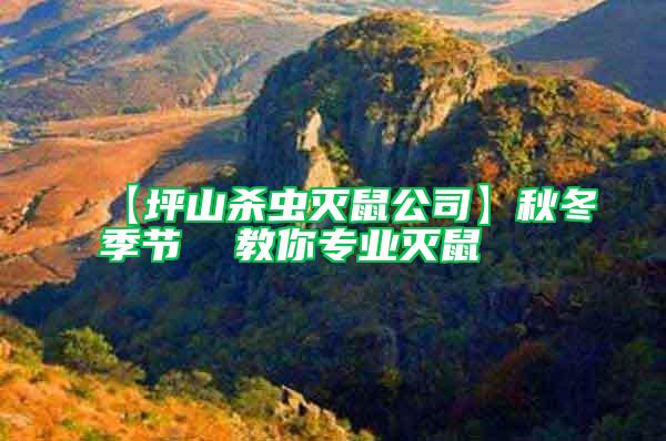 【坪山殺蟲滅鼠公司】秋冬季節(jié)  教你專業(yè)滅鼠