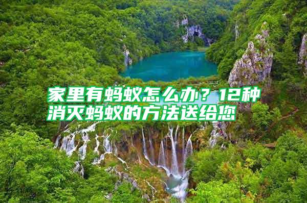 家里有螞蟻怎么辦？12種消滅螞蟻的方法送給您