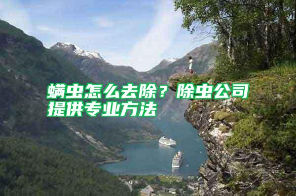 螨蟲怎么去除？除蟲公司提供專業方法