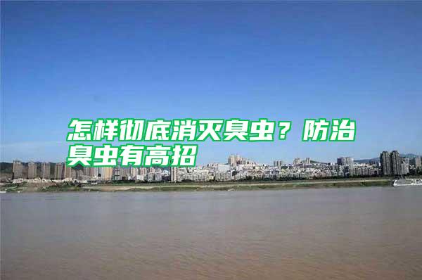 怎樣徹底消滅臭蟲？防治臭蟲有高招