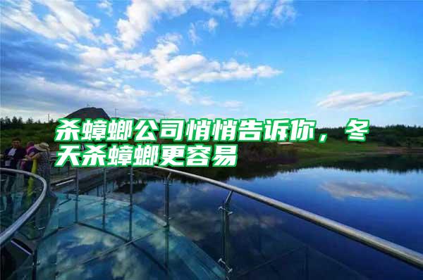 殺蟑螂公司悄悄告訴你，冬天殺蟑螂更容易
