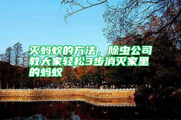 滅螞蟻的方法,除蟲(chóng)公司教大家輕松3步消滅家里的螞蟻