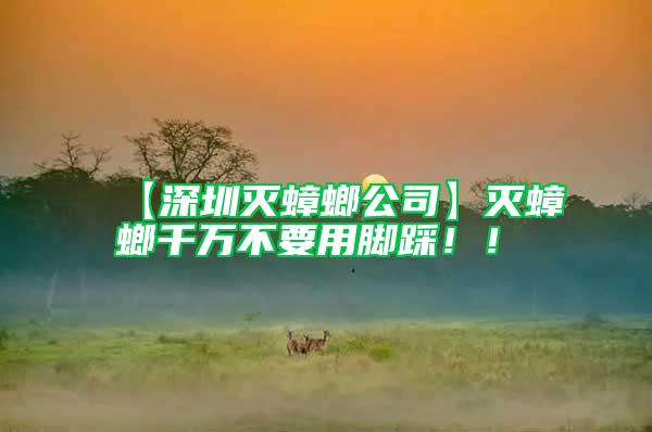 【深圳滅蟑螂公司】滅蟑螂千萬不要用腳踩！！