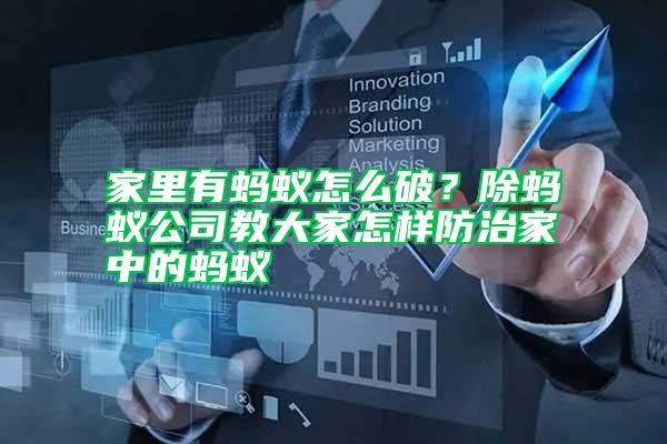 家里有螞蟻怎么破？除螞蟻公司教大家怎樣防治家中的螞蟻