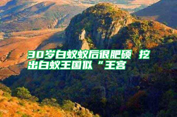 30歲白蟻蟻后很肥碩 挖出白蟻王國(guó)似“王宮
