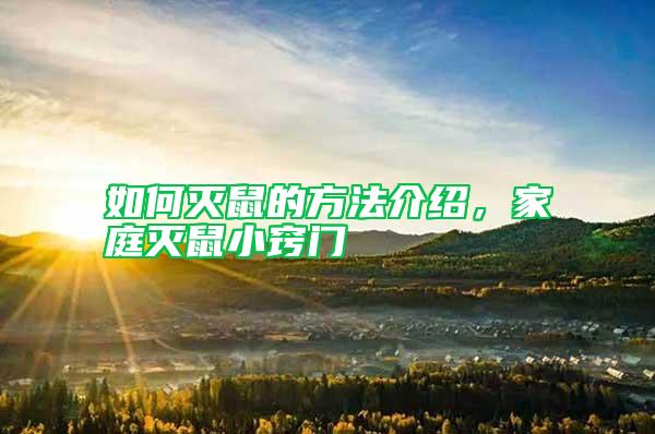 如何滅鼠的方法介紹，家庭滅鼠小竅門