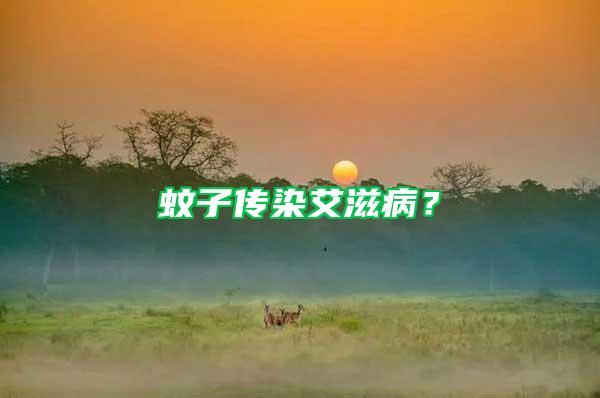 蚊子傳染艾滋病?