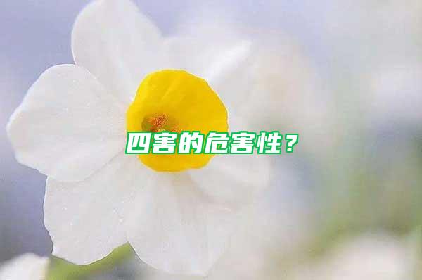 四害的危害性？