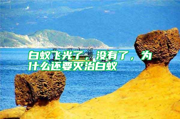 白蟻飛光了，沒有了，為什么還要滅治白蟻