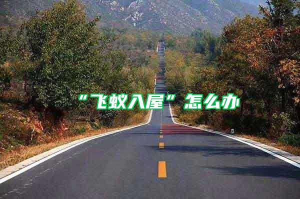 “飛蟻入屋”怎么辦