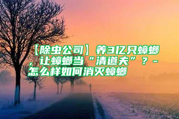 【除蟲公司】養3億只蟑螂，讓蟑螂當“清道夫”？-怎么樣如何消滅蟑螂
