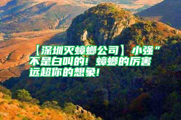 【深圳滅蟑螂公司】小強”不是白叫的! 蟑螂的厲害遠超你的想象!
