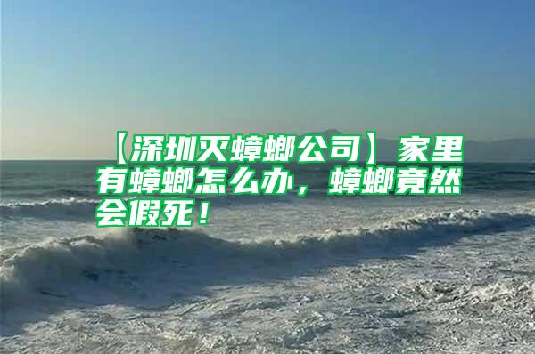 【深圳滅蟑螂公司】家里有蟑螂怎么辦，蟑螂竟然會(huì)假死！