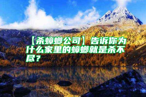 【殺蟑螂公司】告訴你為什么家里的蟑螂就是殺不盡？