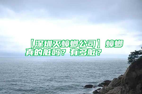 【深圳滅蟑螂公司】蟑螂真的臟嗎？有多臟？