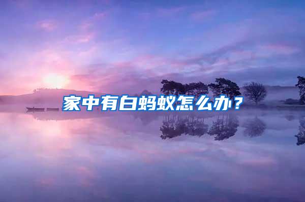 家中有白螞蟻怎么辦？