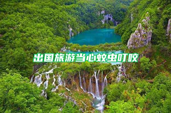 出國旅游當心蚊蟲叮咬