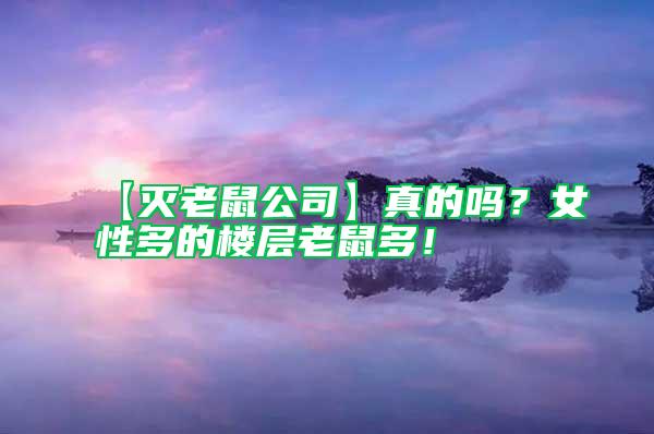 【滅老鼠公司】真的嗎?女性多的樓層老鼠多!
