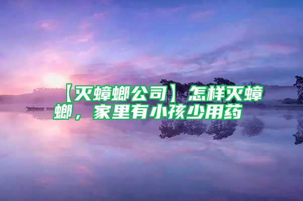 【滅蟑螂公司】怎樣滅蟑螂,家里有小孩少用藥