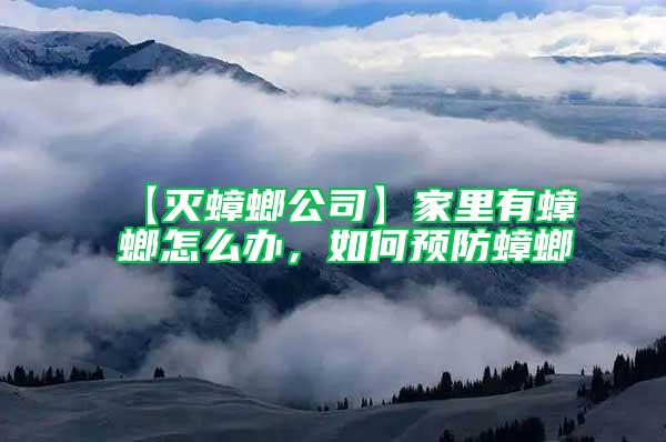 【滅蟑螂公司】家里有蟑螂怎么辦,如何預防蟑螂