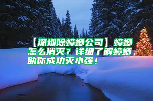 【深圳除蟑螂公司】蟑螂怎么消滅？詳細了解蟑螂，助你成功滅小強！