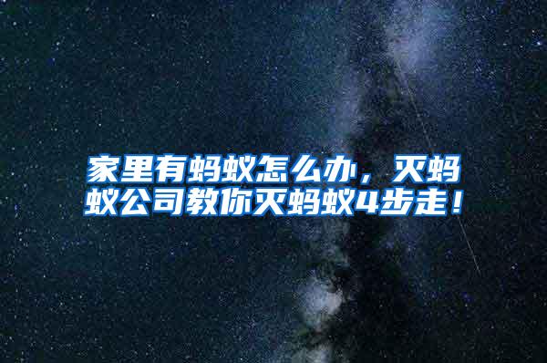 家里有螞蟻怎么辦，滅螞蟻公司教你滅螞蟻4步走！