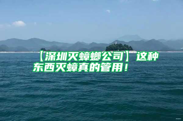 【深圳滅蟑螂公司】這種東西滅蟑真的管用！