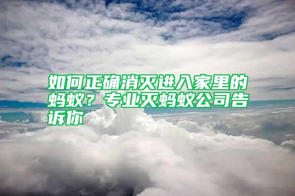 如何正確消滅進(jìn)入家里的螞蟻？專業(yè)滅螞蟻公司告訴你