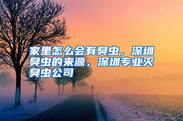 家里怎么會有臭蟲,深圳臭蟲的來源,深圳專業滅臭蟲公司