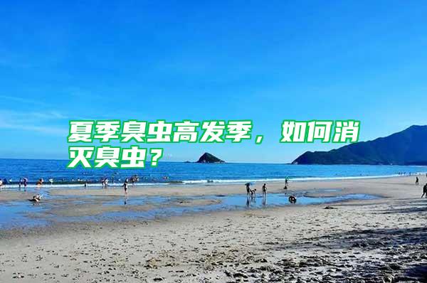 夏季臭蟲高發季，如何消滅臭蟲？