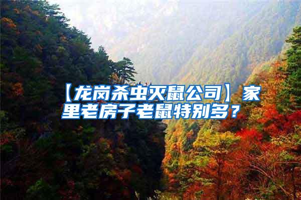 【龍崗殺蟲滅鼠公司】家里老房子老鼠特別多？