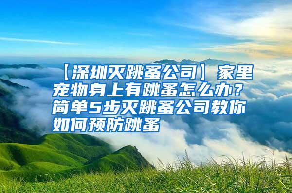【深圳滅跳蚤公司】家里寵物身上有跳蚤怎么辦？簡單5步滅跳蚤公司教你如何預防跳蚤