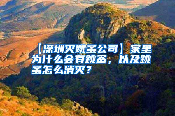 【深圳滅跳蚤公司】家里為什么會(huì)有跳蚤，以及跳蚤怎么消滅？