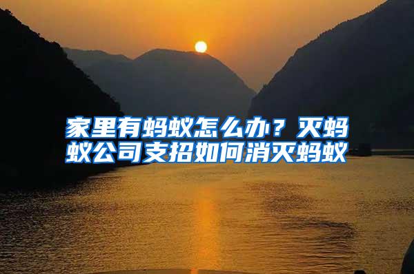 家里有螞蟻怎么辦？滅螞蟻公司支招如何消滅螞蟻