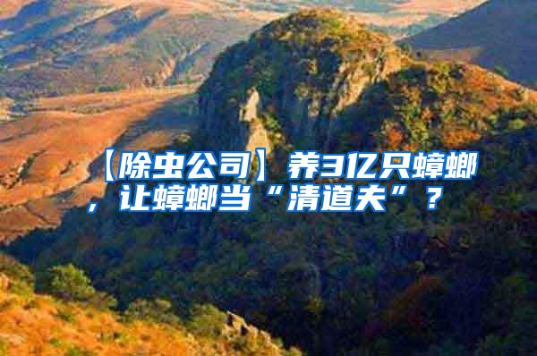 【除蟲公司】養(yǎng)3億只蟑螂,讓蟑螂當“清道夫”?