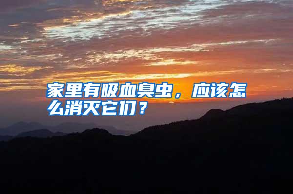 家里有吸血臭蟲,應該怎么消滅它們?