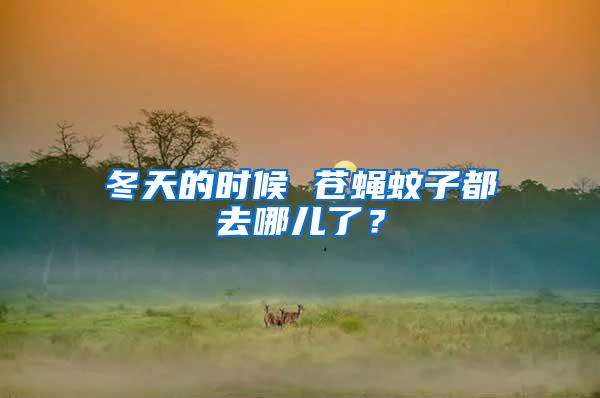 冬天的時(shí)候 蒼蠅蚊子都去哪兒了？