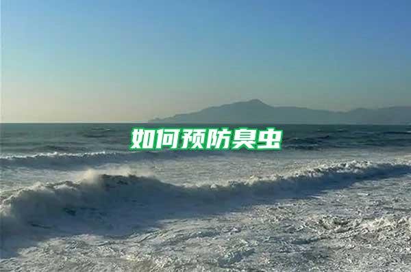 如何預(yù)防臭蟲(chóng)